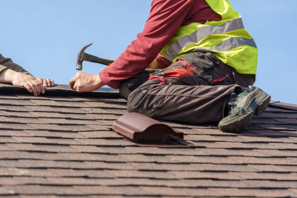 Best Flat Roof Repair Services  in Antwerp, OH