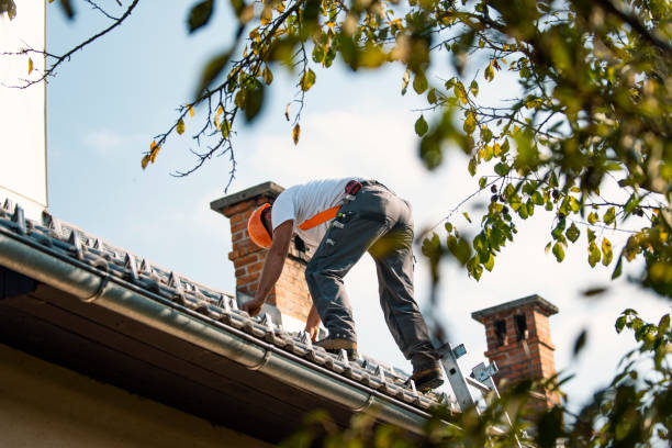 Best Metal Roofing Contractor  in Antwerp, OH