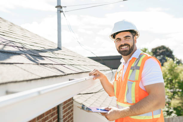 Best Roof Gutter Cleaning  in Antwerp, OH